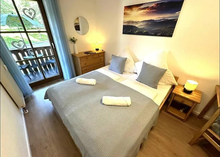 In Bayerischer Wald, Sauna, Pool, Wi-fi Appartamento Zwiesel