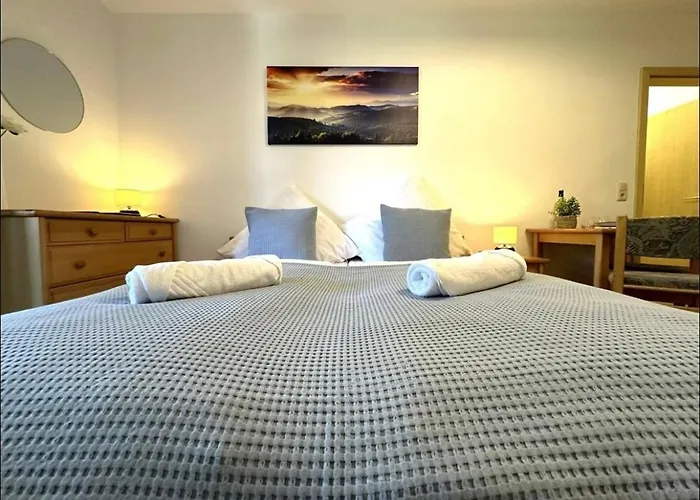 Appartamento In Bayerischer Wald, Sauna, Pool, Wi-fi Zwiesel